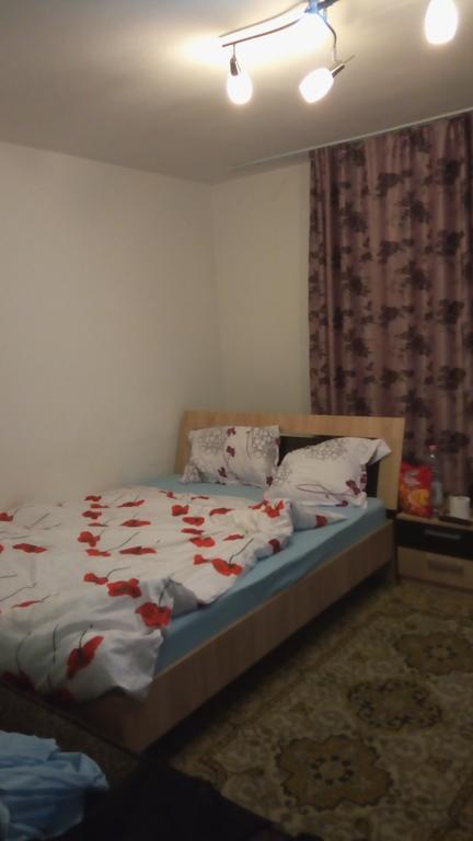 Central Apartment 2 Timisoara Bagian luar foto