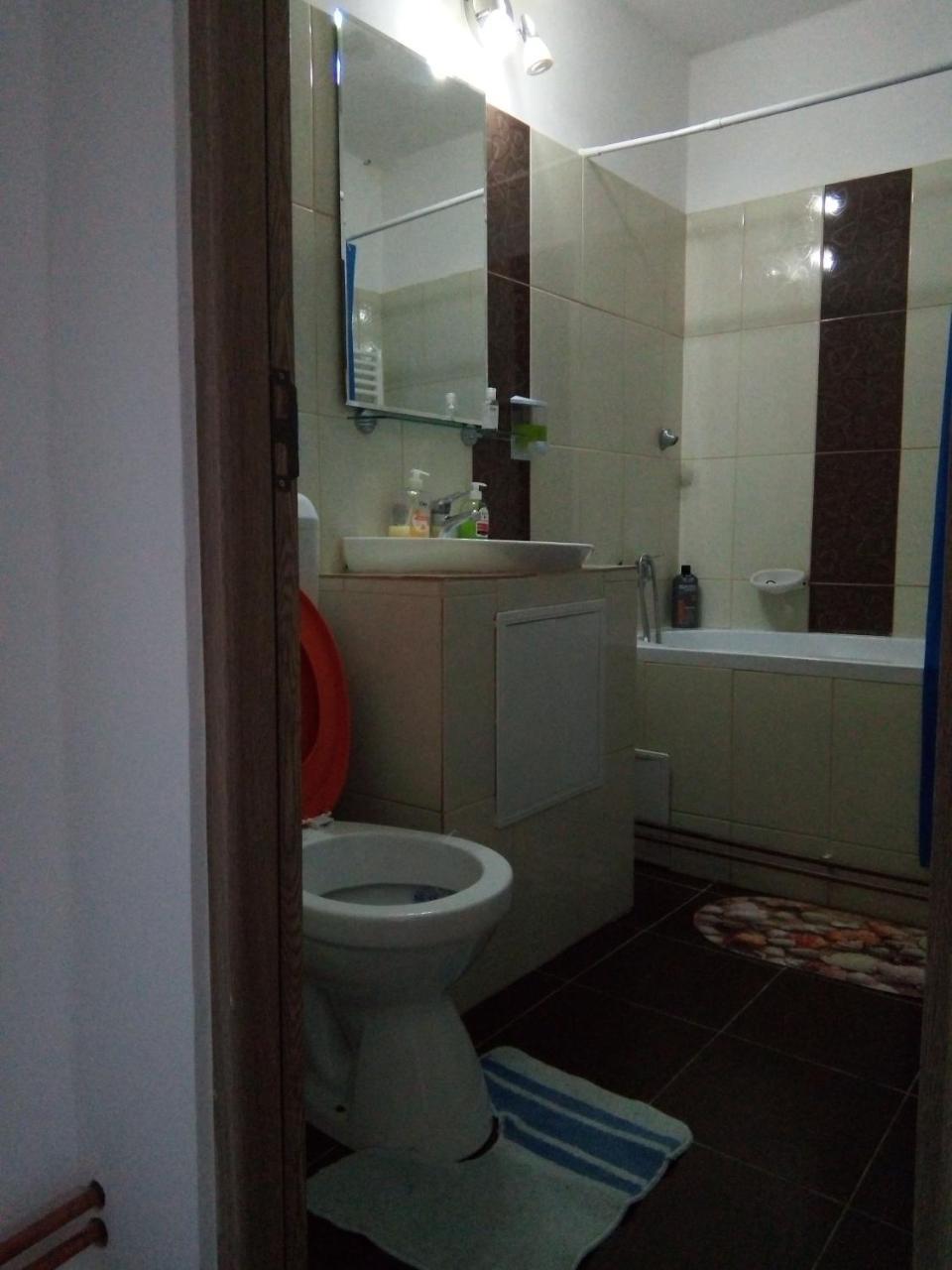 Central Apartment 2 Timisoara Bagian luar foto